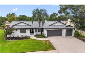 3515 Springville Dr, VALRICO