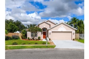 24241 Branchwood Ct, LUTZ 24241 Branchwood Ct, LUTZ