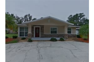 4827 Billy Direct Ln, LUTZ