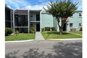 2850 Somerset Park Dr #101, TAMPA