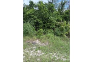 3699 Dothan Ave, SPRING HILL