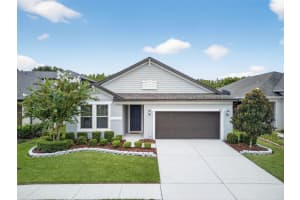30514 Pecan Valley Loop, WESLEY CHAPEL