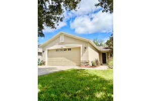 4302 English Turn Way, WESLEY CHAPEL
