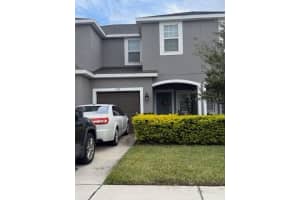 2308 Alee Ln, WESLEY CHAPEL