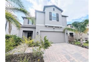 2944 Autumn Rock Dr, ZEPHYRHILLS