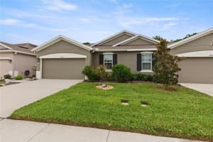 10417 Heron Hideaway Loop, LAND O LAKES