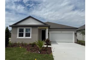 10172 Hidden Hammock Loop, PARRISH