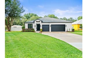 3211 Moran Rd, TAMPA