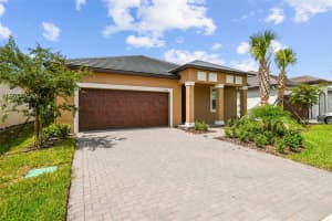 9727 Minnow Ray Dr, LAND O LAKES