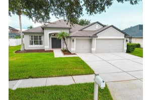 22646 Eagles Watch Dr, LAND O LAKES