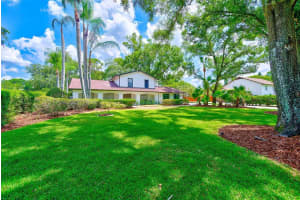 4509 Old Orchard Dr, TAMPA