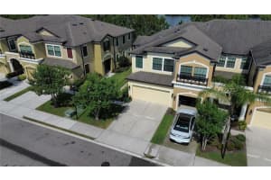 9134 Fox Sparrow Rd, TAMPA