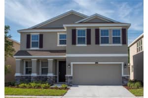 8004 Praise Dr, TAMPA