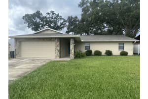 , TAMPA