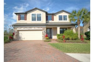 10702 Pleasant Knoll Dr, TAMPA
