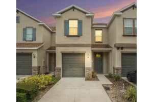 6623 Rocky Park St, TAMPA