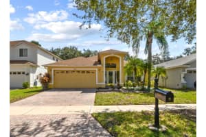 16203 Nottingham Park Way, TAMPA