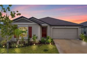 13124 Merlot Sunstone Cv, PARRISH