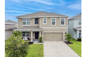 32635 Brooks Hawk Ln, WESLEY CHAPEL