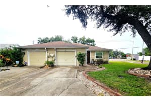 4413 Hollow Branch Ct, TAMPA