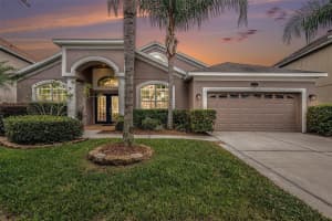 20017 Painting Nature Ln, TAMPA