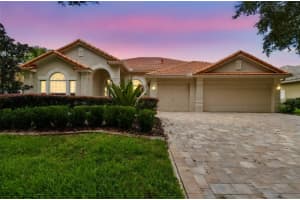 10218 Waterside Oaks Dr, TAMPA