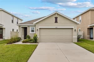 31276 Penny Surf Loop, WESLEY CHAPEL