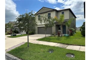 5224 White Chicory Dr, APOLLO BEACH