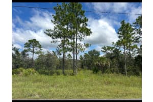 Papercraft, BROOKSVILLE