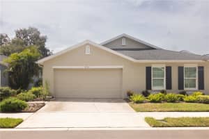 8561 Acorn Ridge Ct, TAMPA