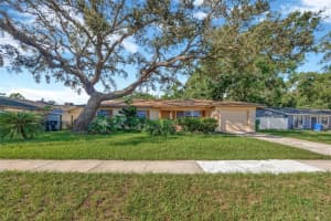 4429 Dolphin Dr, TAMPA