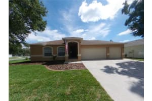 11302 Andy Dr, RIVERVIEW