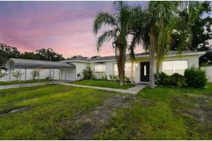2916 W Clifton St, TAMPA