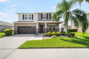 5401 Suncatcher Dr, WESLEY CHAPEL