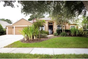 311 Golden Elm Dr, SEFFNER