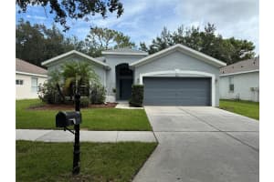19111 Cypress Reach Ln, TAMPA