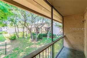 7537 Pitch Pine Cir N #c, TAMPA