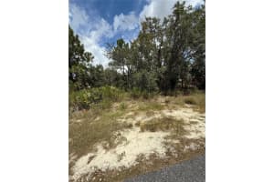 13063 Convent Garden Rd, BROOKSVILLE