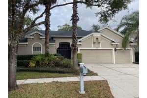 4904 Ebensburg Dr, TAMPA