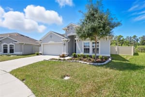 10219 Cross Timber Ter, LAND O LAKES