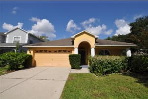 613 Straw Lake Dr, BRANDON
