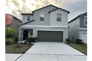 5254 White Chicory Dr, APOLLO BEACH