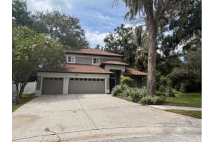336 Brookside Ct, PALM HARBOR