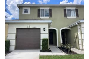 20438 Needletree Dr, TAMPA