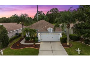 3009 Banyan Hill Ln, LAND O LAKES