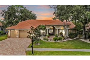 1244 Greybrooke Pl, OLDSMAR