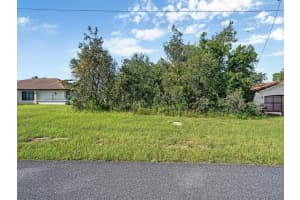 11366 Redgate St, SPRING HILL