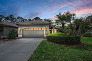 1502 Woodstream Dr, OLDSMAR