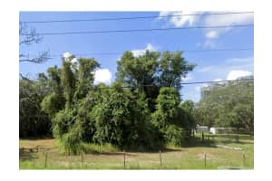 15542 Peace Blvd, SPRING HILL