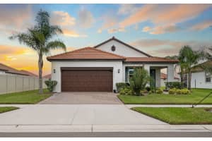 17206 Star Banks St, WIMAUMA